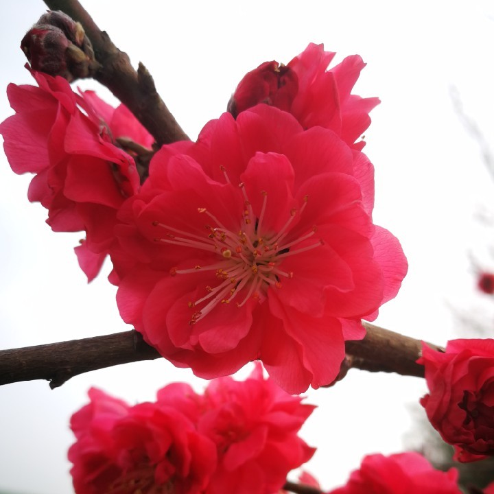 生活要有仪式感