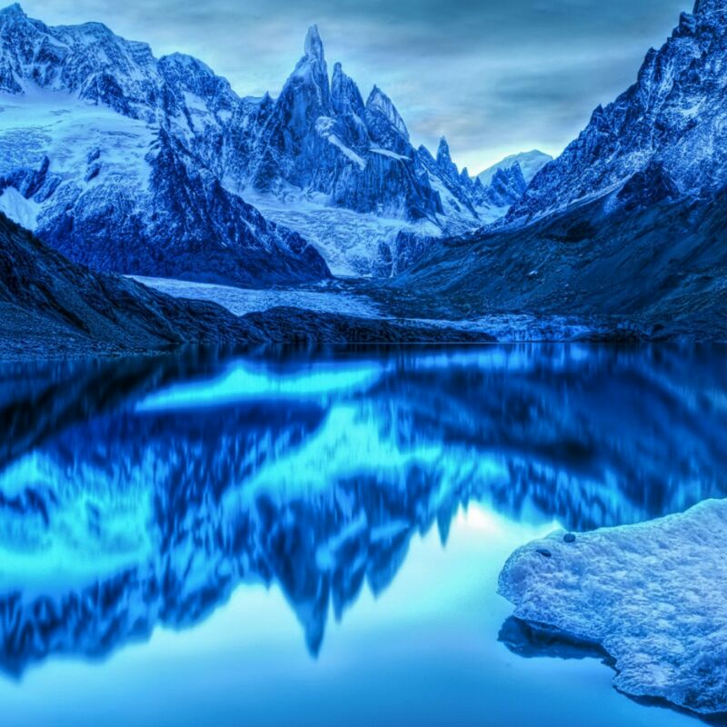 中黄色的中亚大戟潇洒