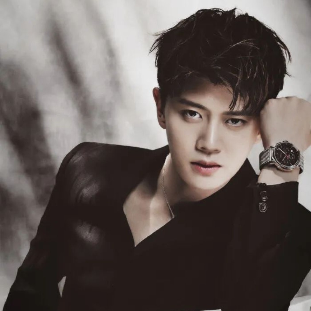 爱吃四季花开的洋葱