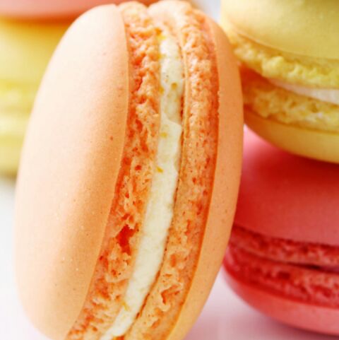 人间欢乐任逍遥666