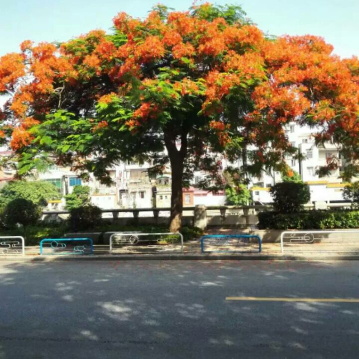 退一步海阔天空139