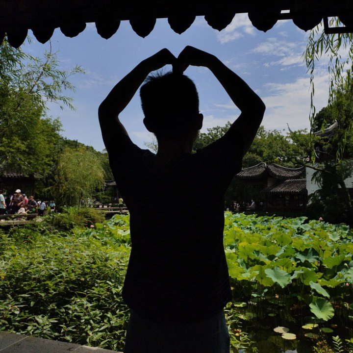 蓝色的乌木荟花