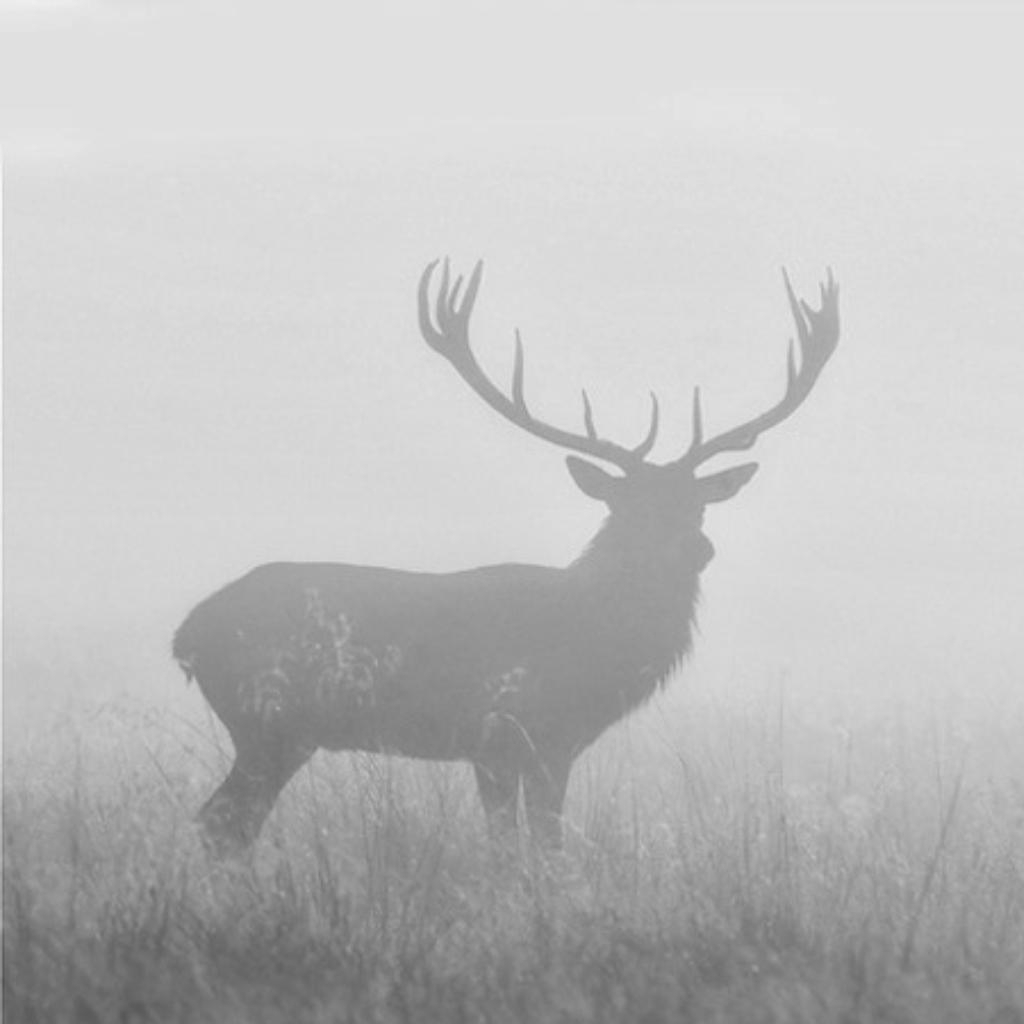 性格分裂症患者