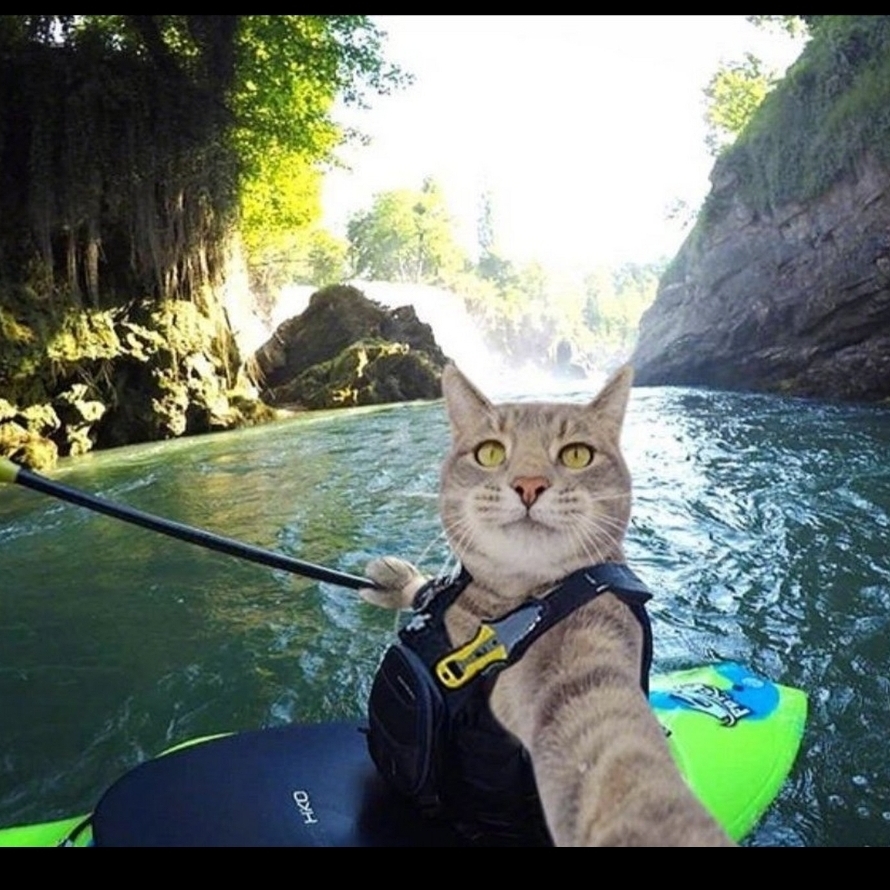 就是吃撑了闹的