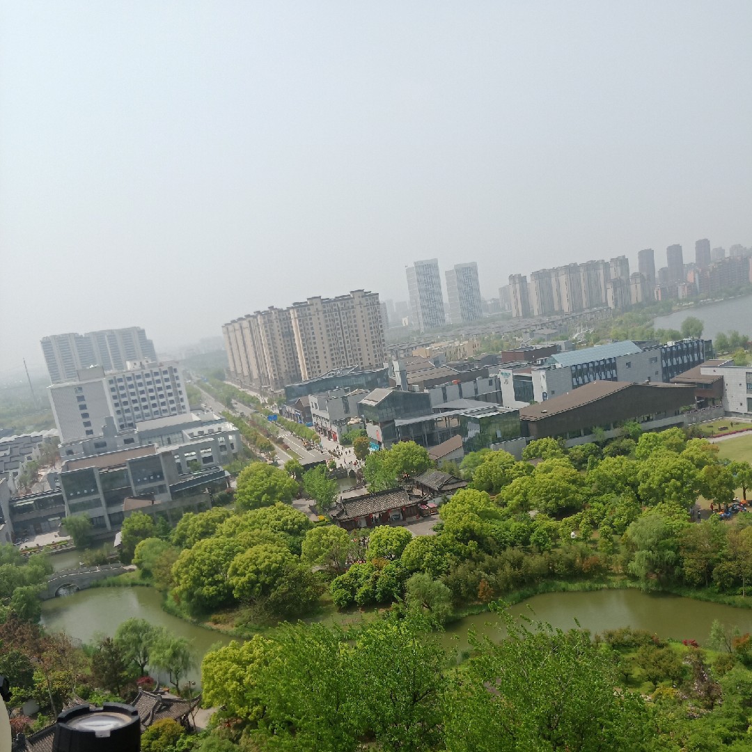 微风起等风也等你