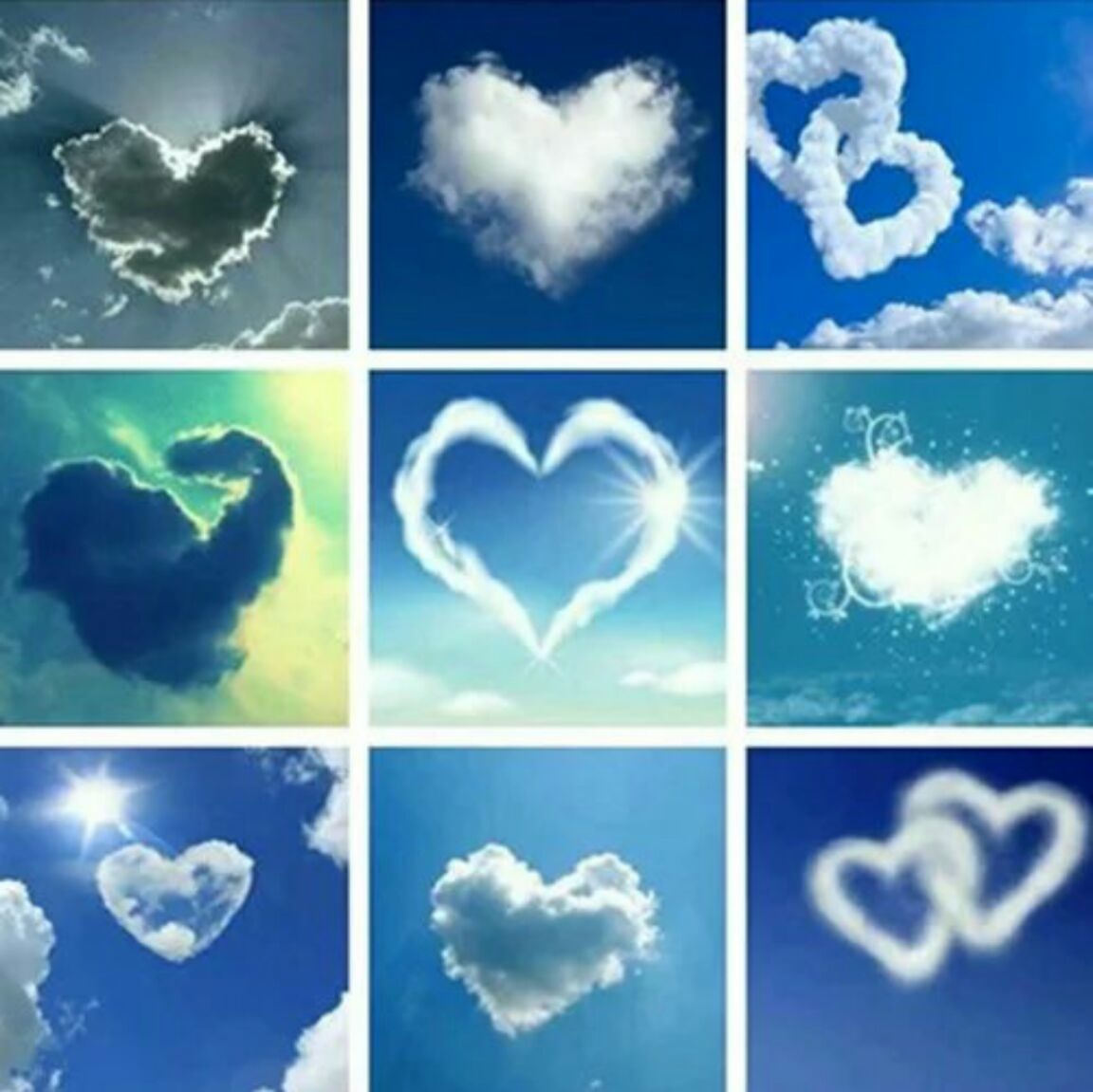 嫩绿的三北一一