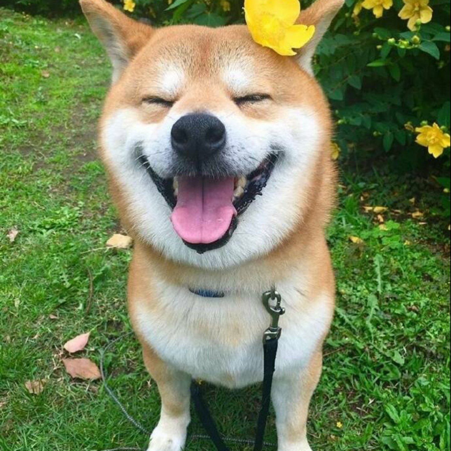 一拳一个嘤嘤怪。。。