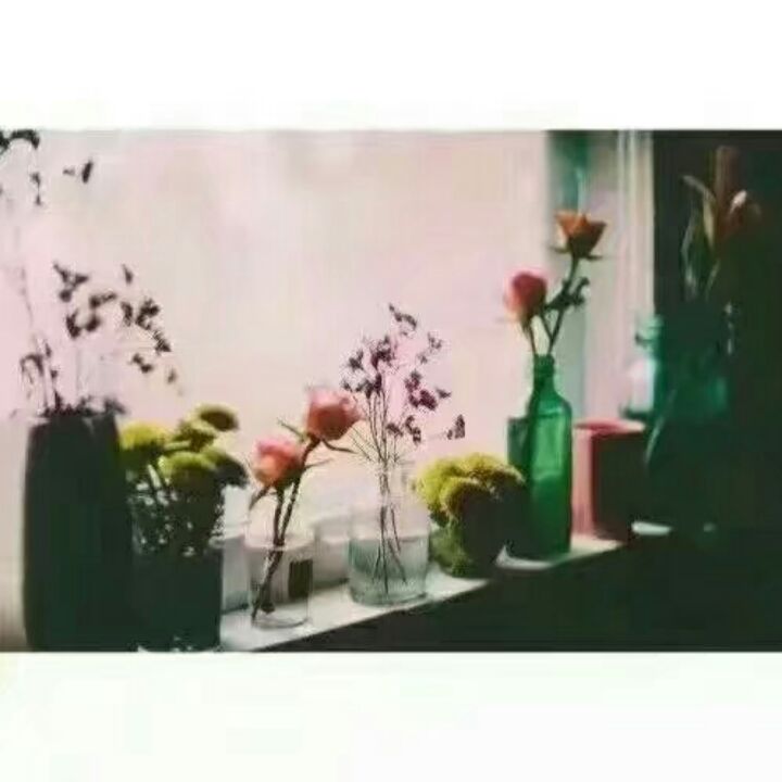 白皑皑的苏里南苦樱桃有关