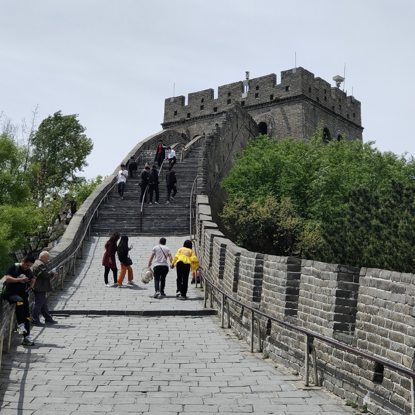 顺其自然的我啊