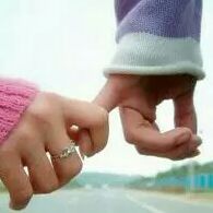 樱桃红的酷鳄鱼