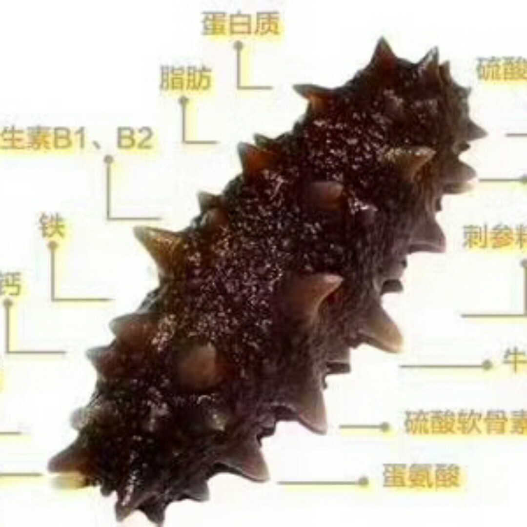 买海参啊
