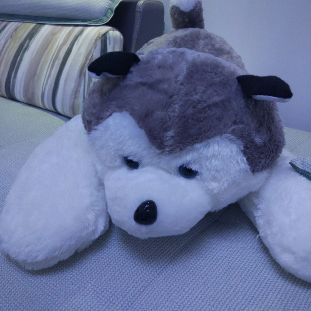 崽阿爸对你很失望啊