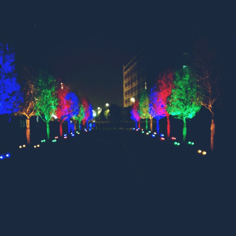 和平南路刘德华