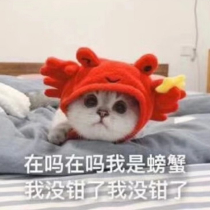 要快乐鸭