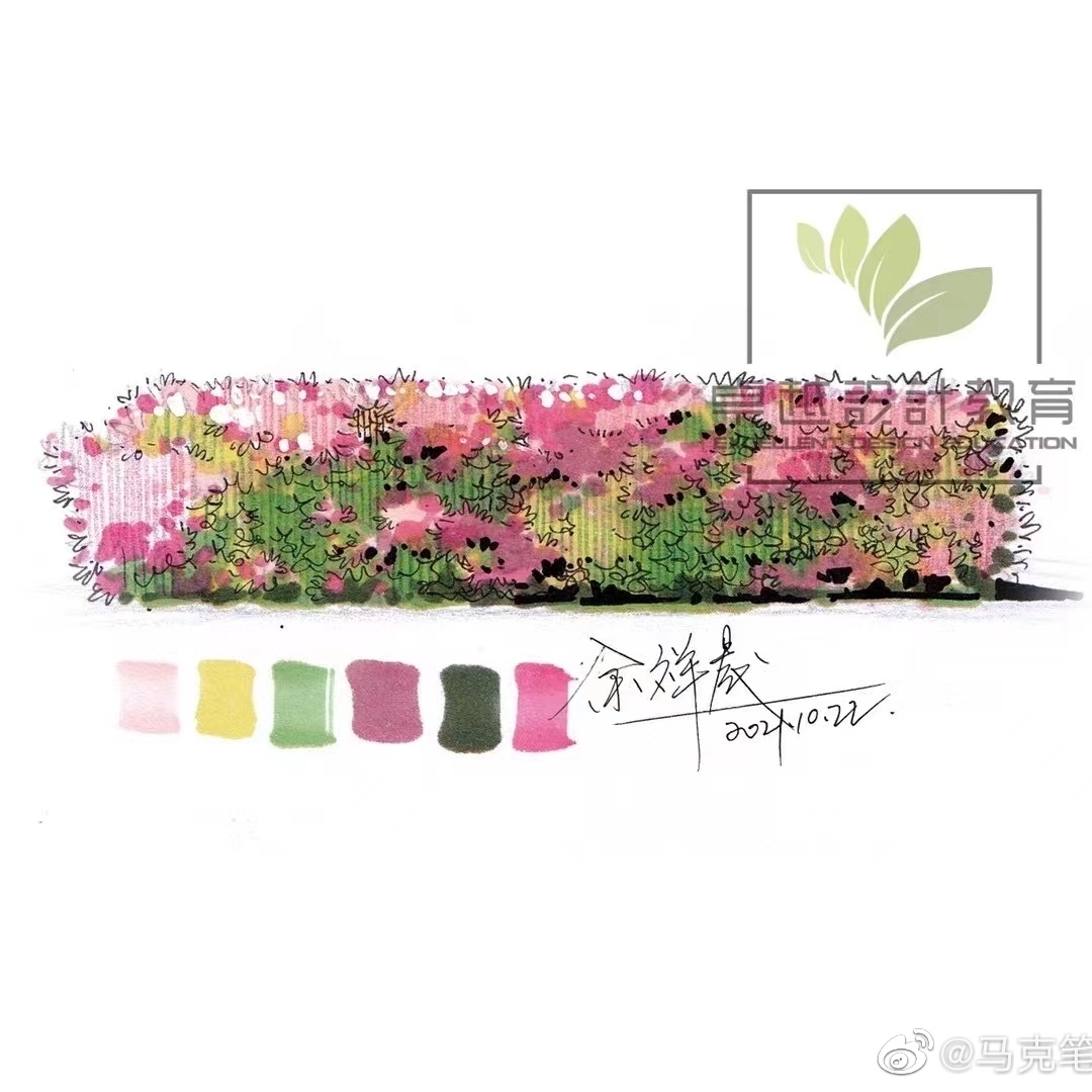 橙红色的批把果