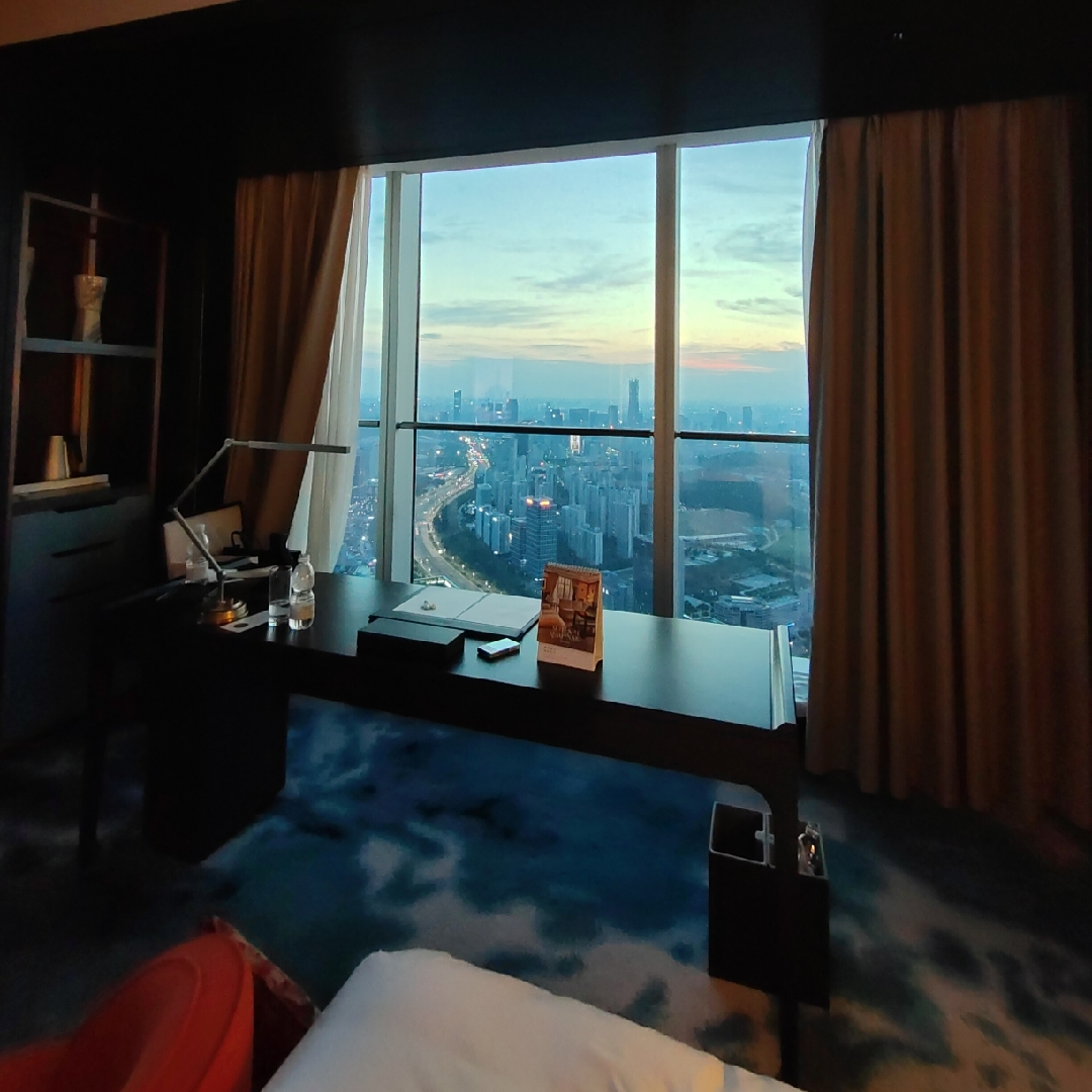 爱吃胡萝卜饼的风华很坦荡