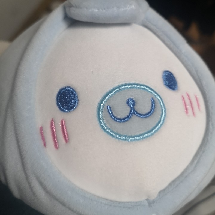 皖皖皖皖的小转转