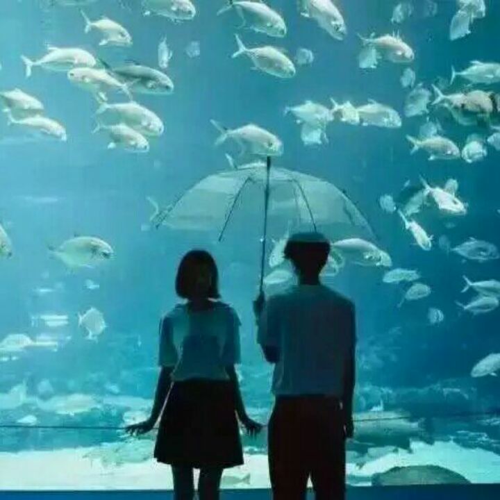 全宇宙最可爱珊小珊