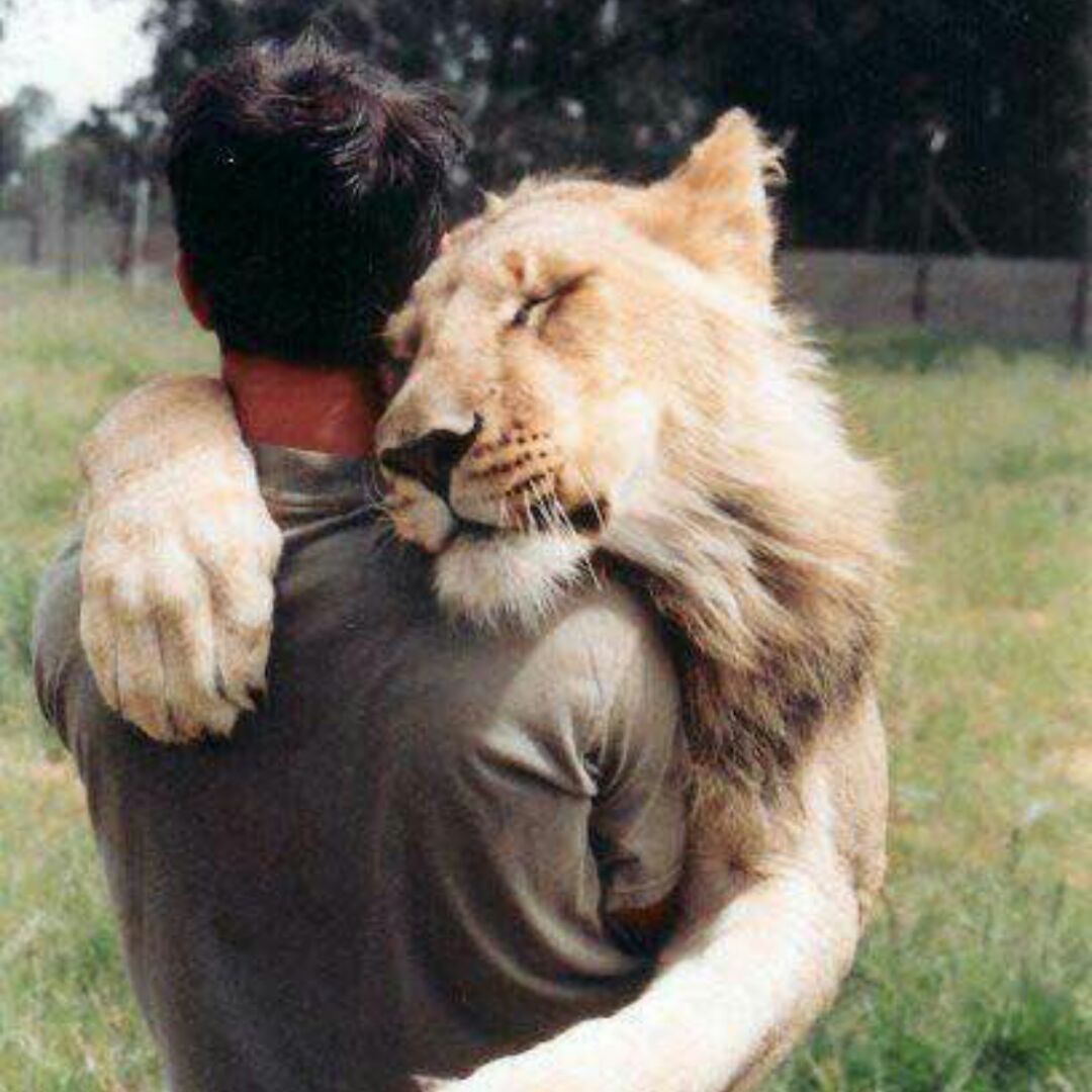 愧吾当初赠木桃