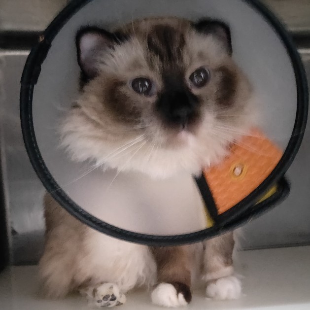 这个号是我本人