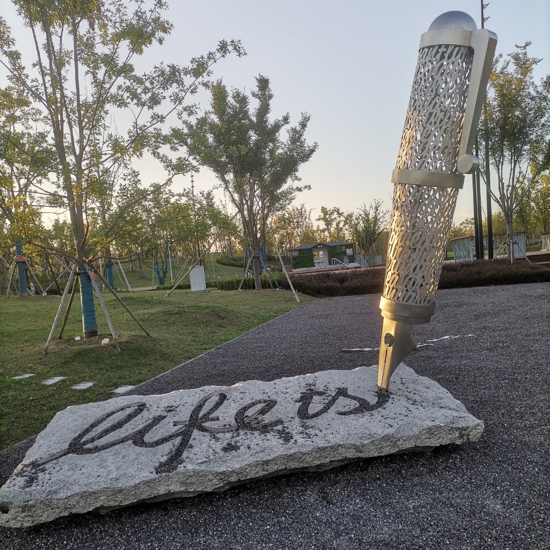 华沙跳舞的红参