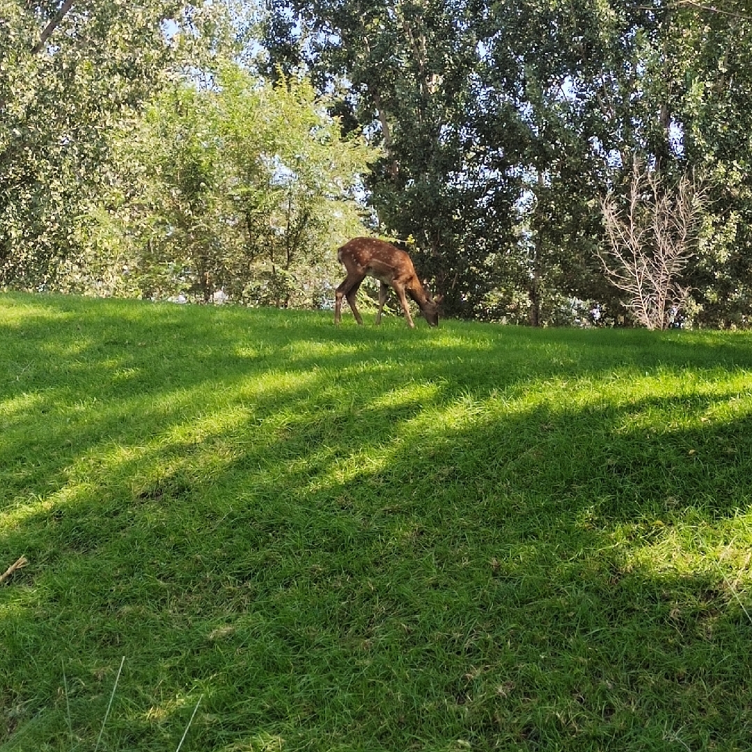 不忘初心方得始终