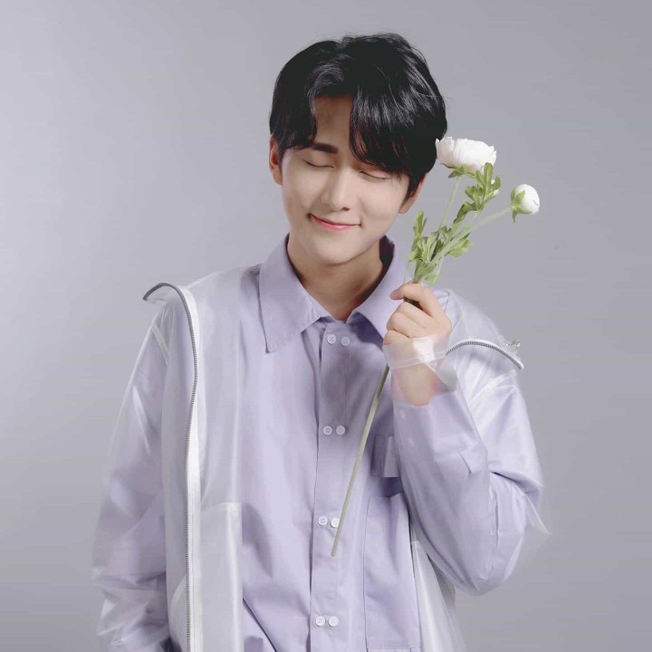 对酒当歌低吟浅唱