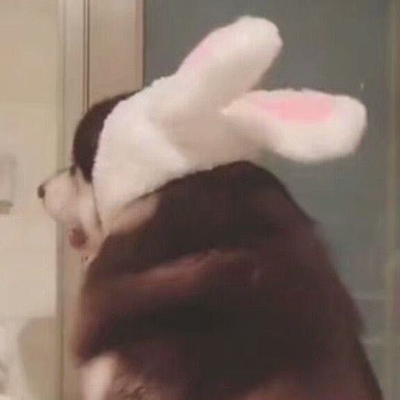 小神奇小不懂微光