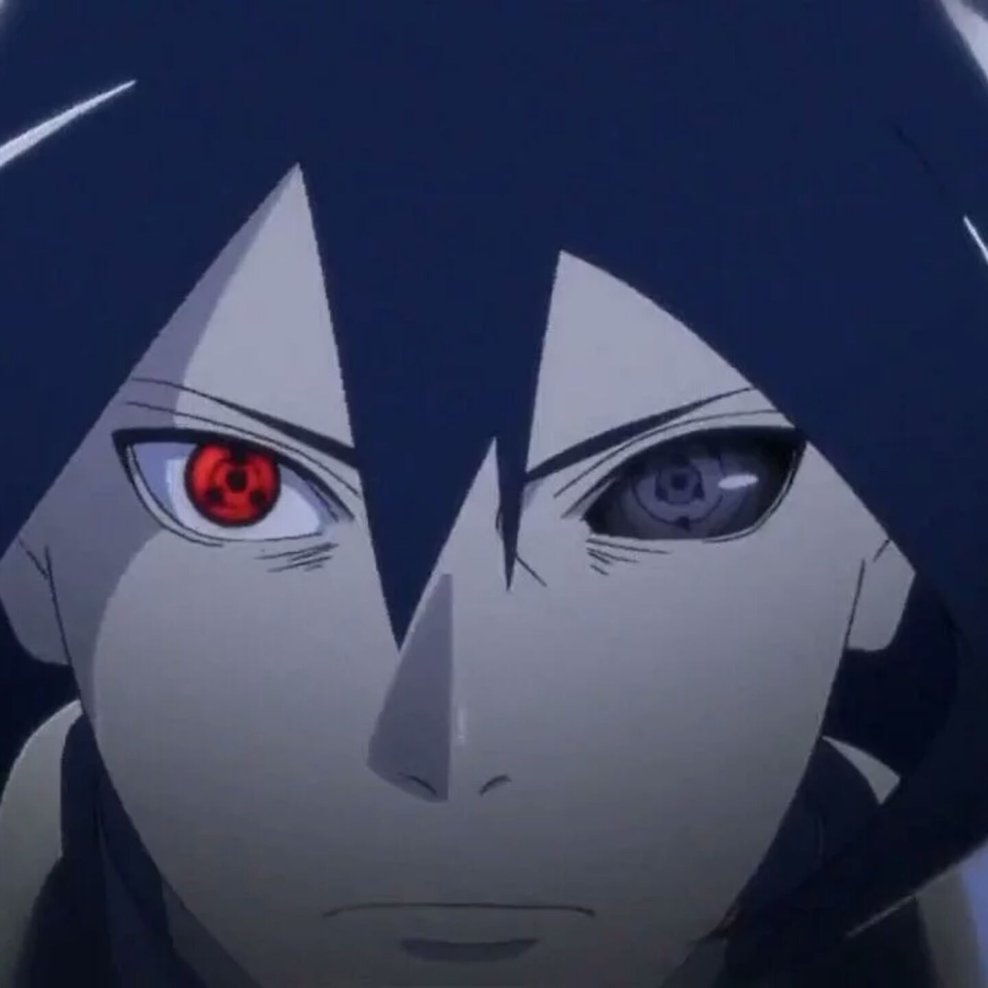 请跟我联络怦然星动