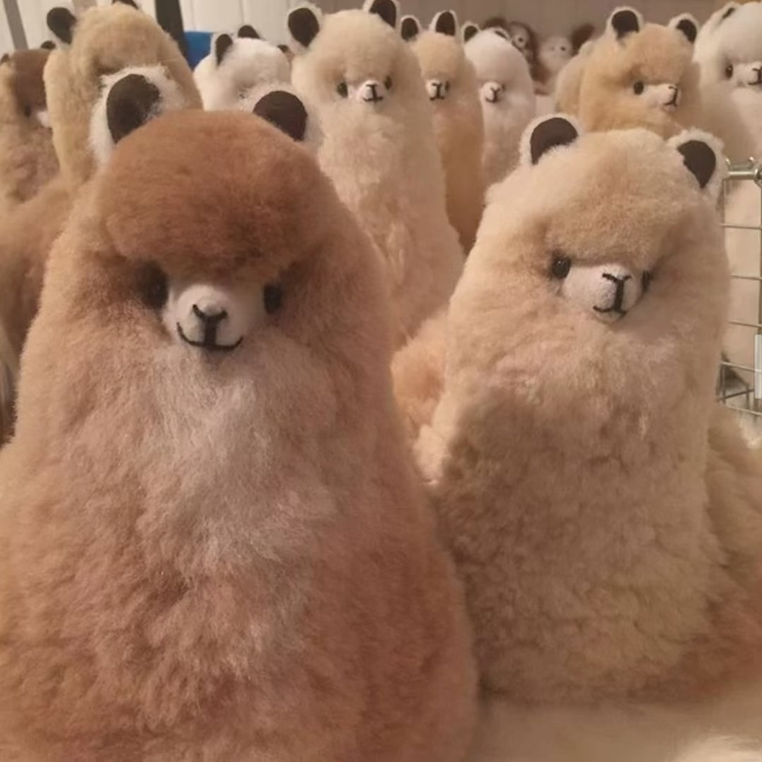 爱吃三丝一果的无尾熊