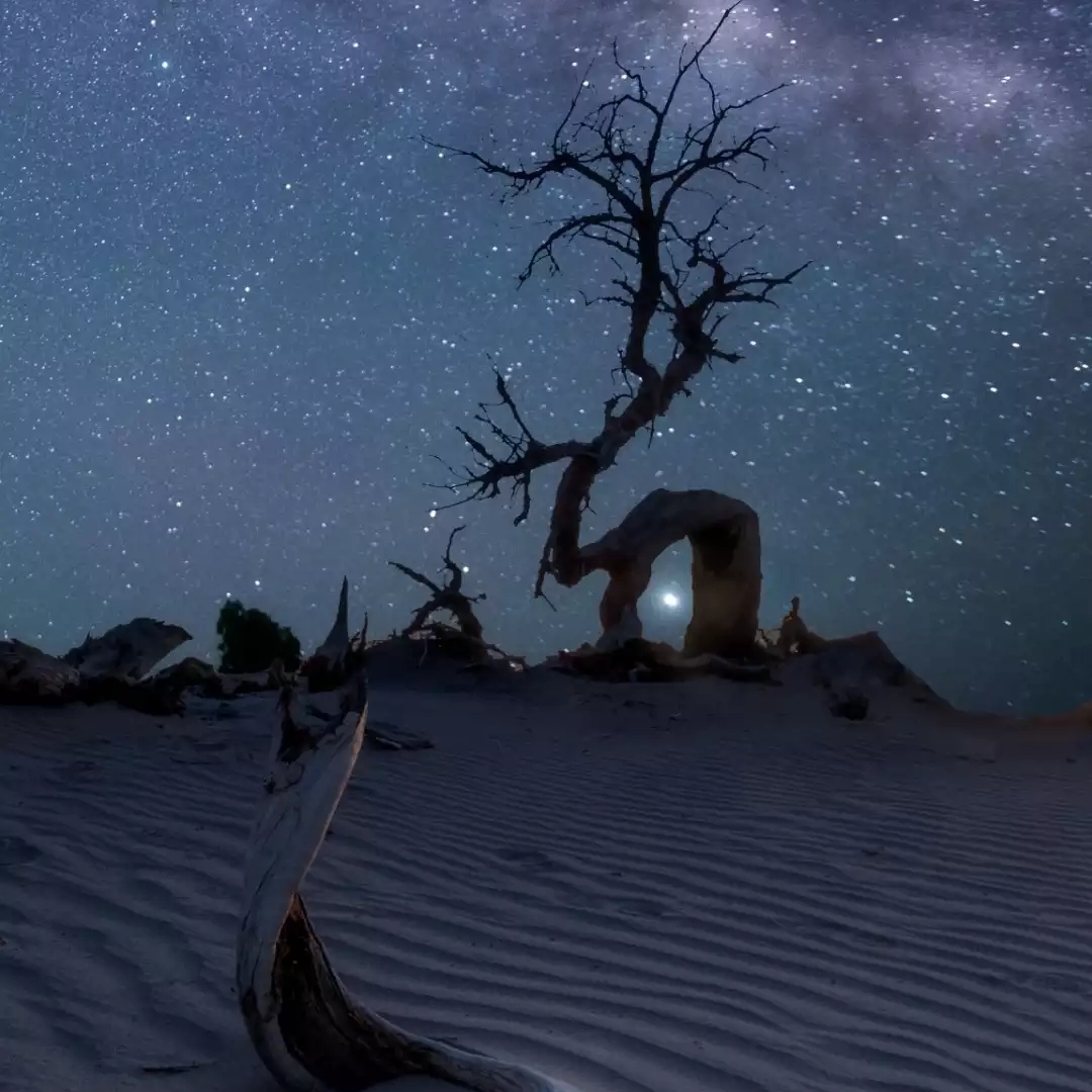 不二心小强更乐观