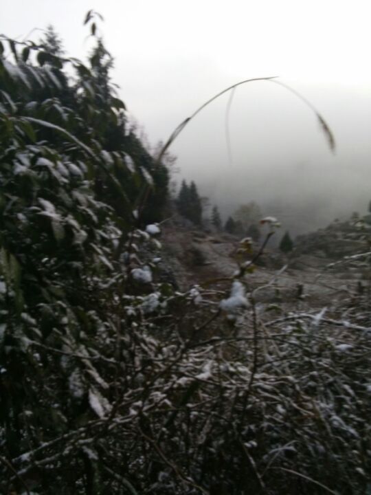 月清若玉，12679