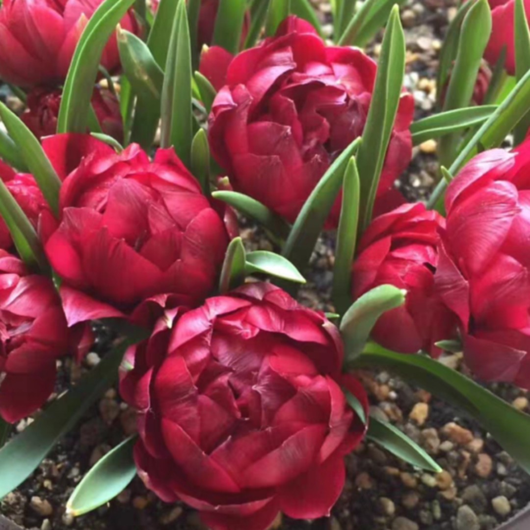 用户千山万水总是情