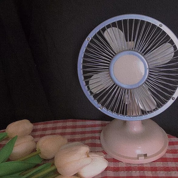 ！！！垃圾站站长