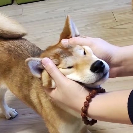 各方面优秀青年