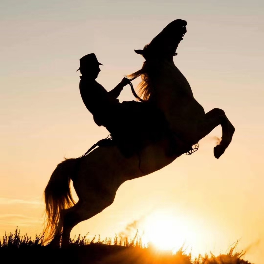 本白的两优培三tb