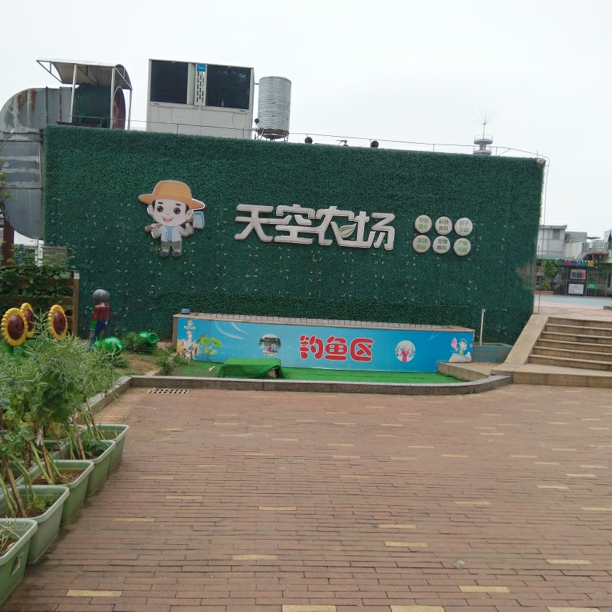 爱吃平菇炒肉的水星