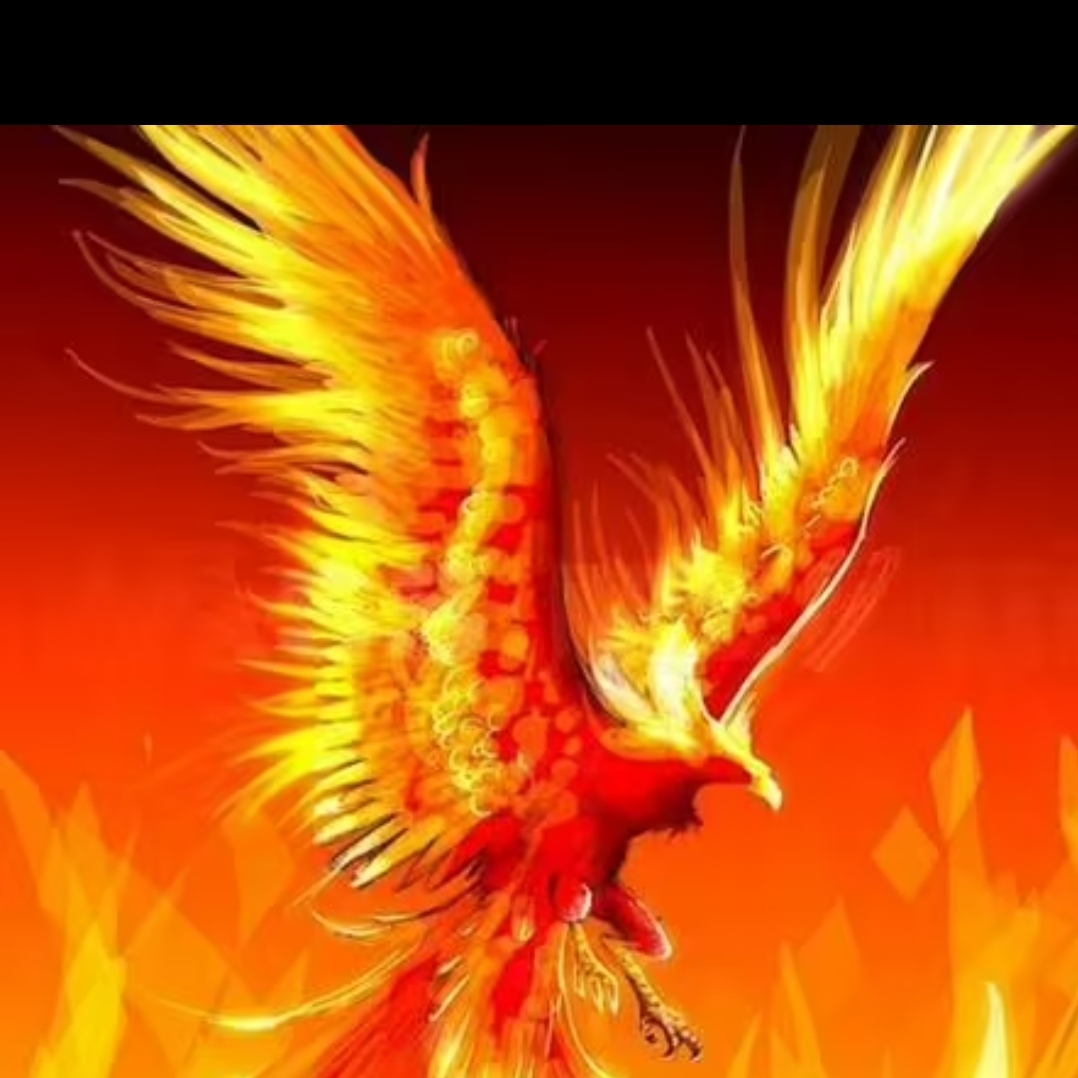 珍珠白的七七芽97