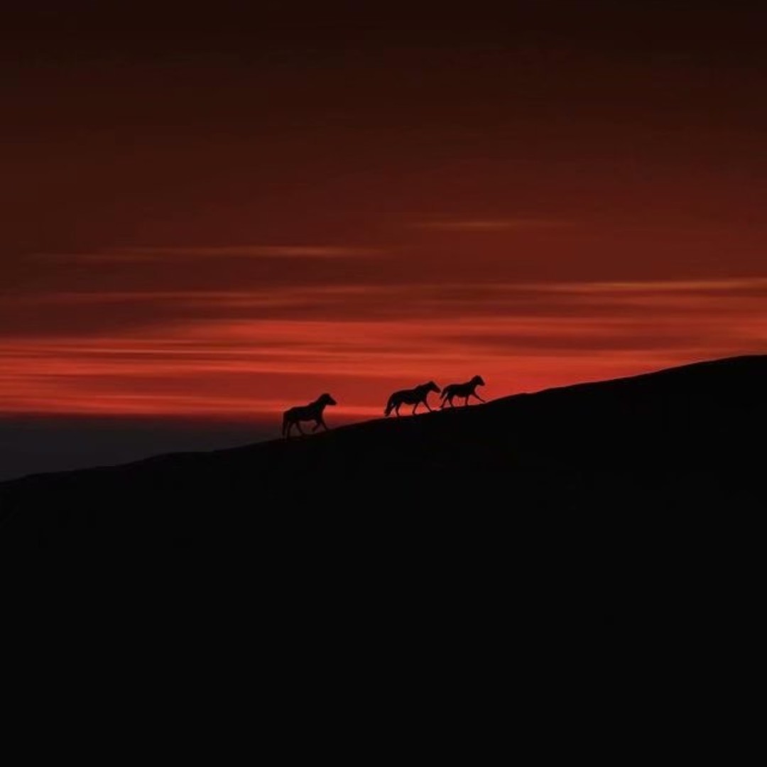 岁月静好的小狼8_更努力