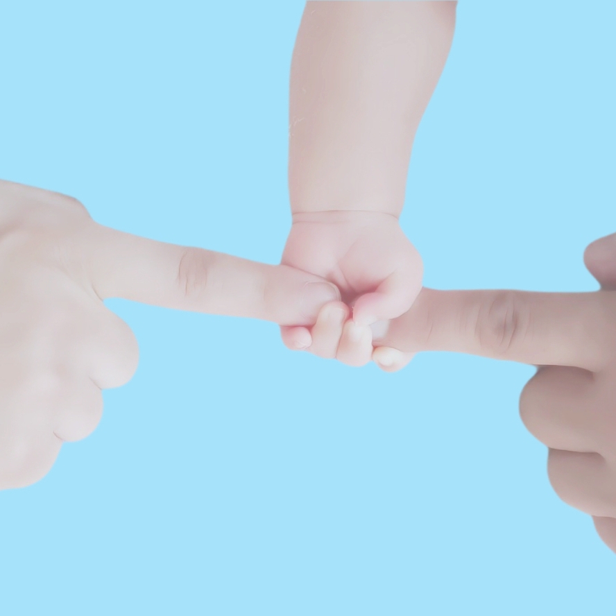 西周沉著的柿子