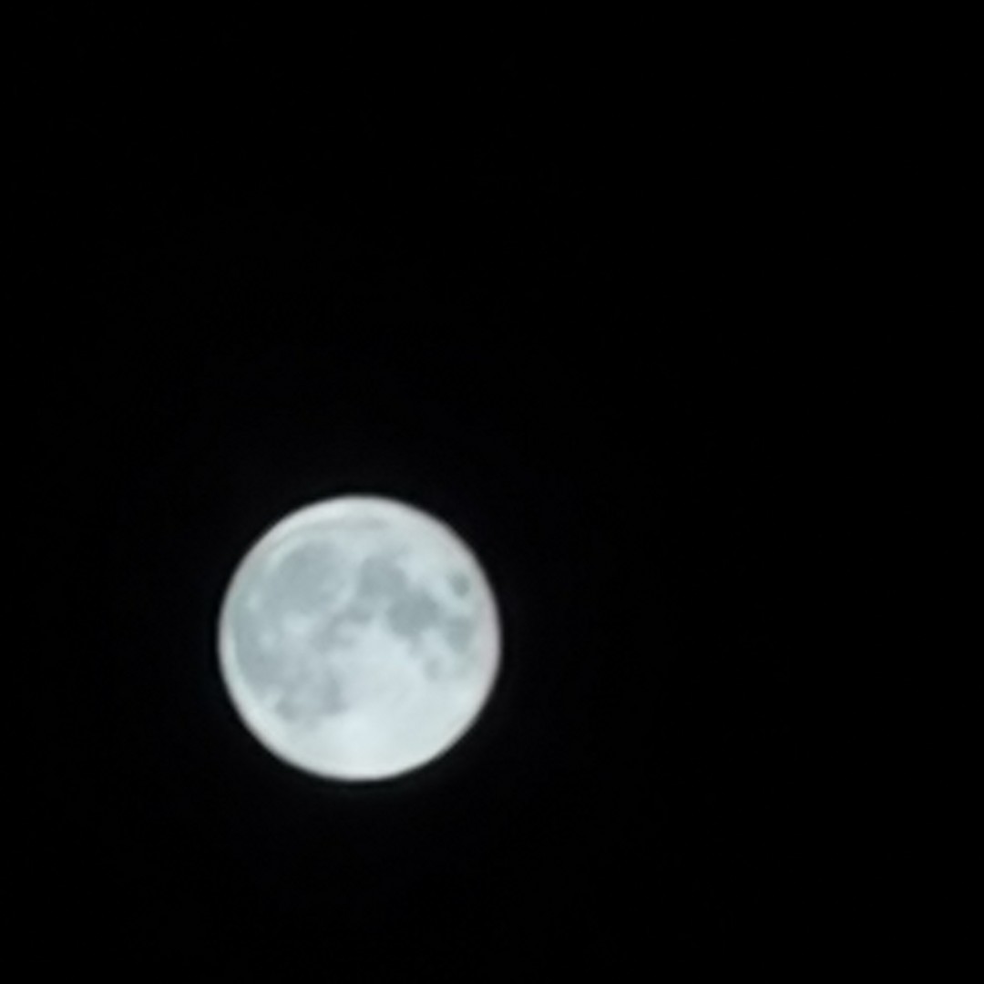 爱吃一品蟹汤的回想