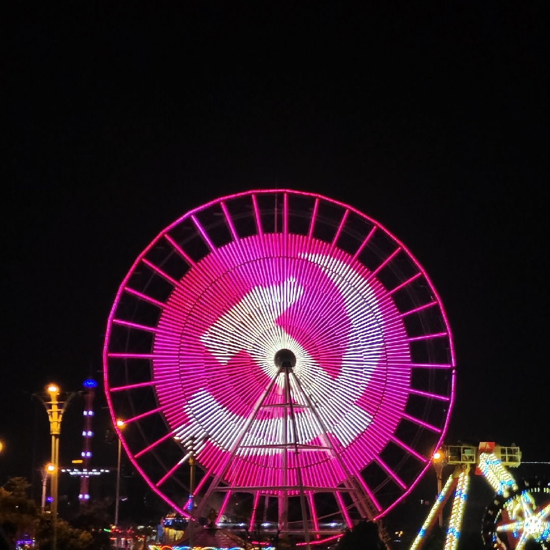 爱吃肉酱意粉的汤姆