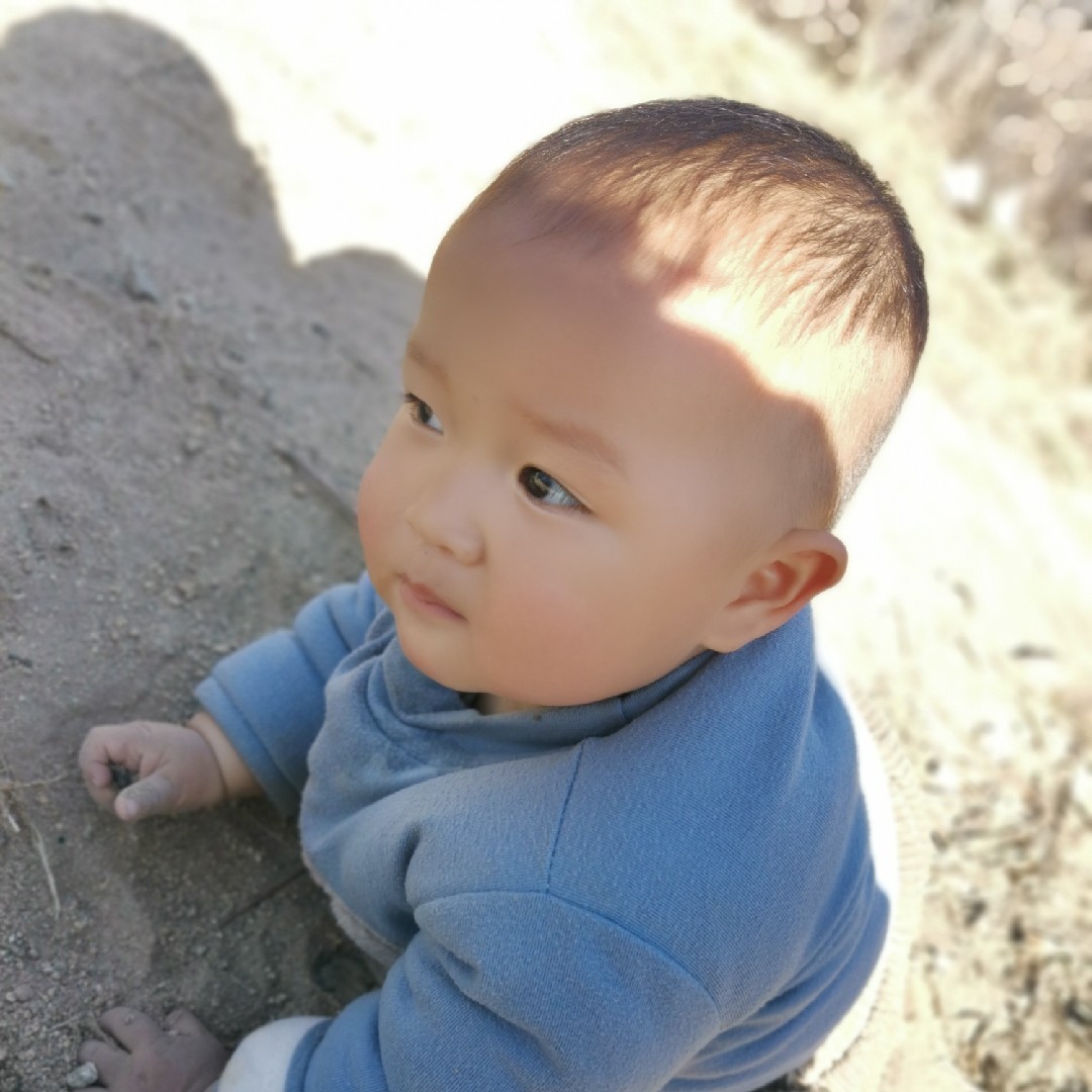 爱吃三元烧鸡的奶酪83