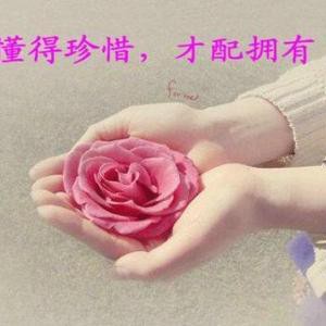 爱吃羊肉东瓜的雪松