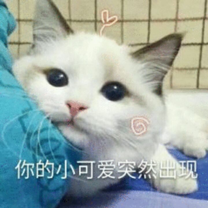 纵情～^O^