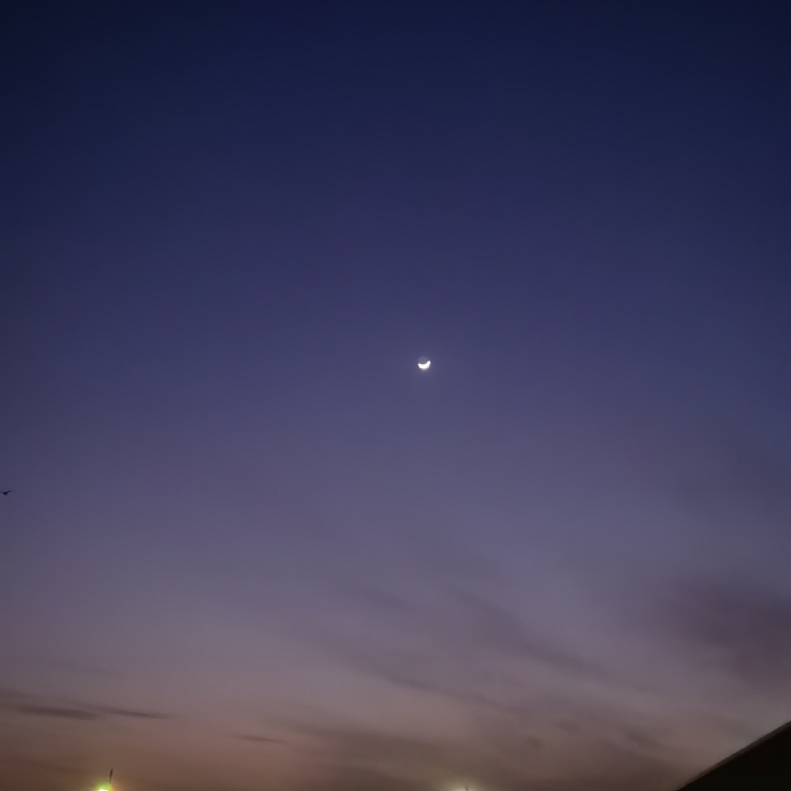 爱憎分明的守财奴