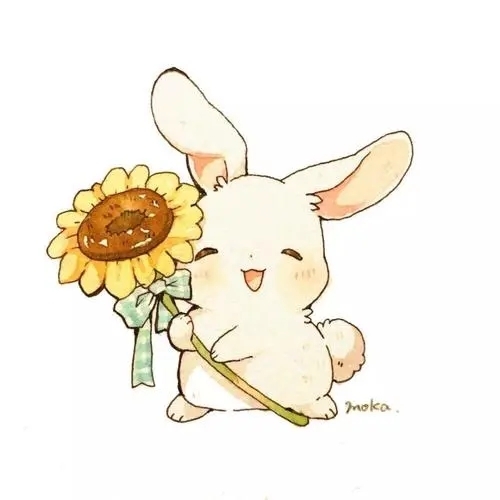 爱吃吐司奶酪的椰汁