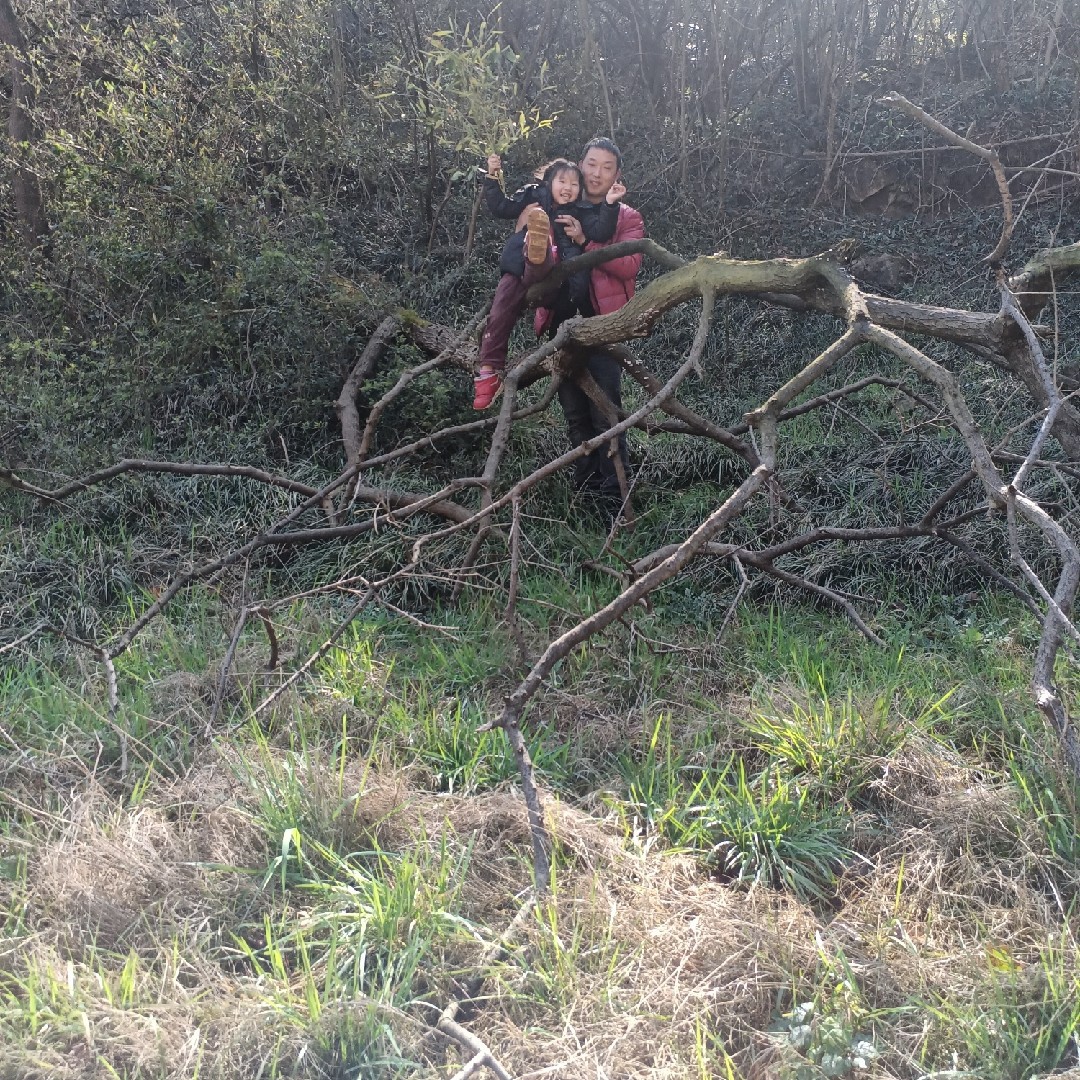 霞霞*^O^*时尚女包