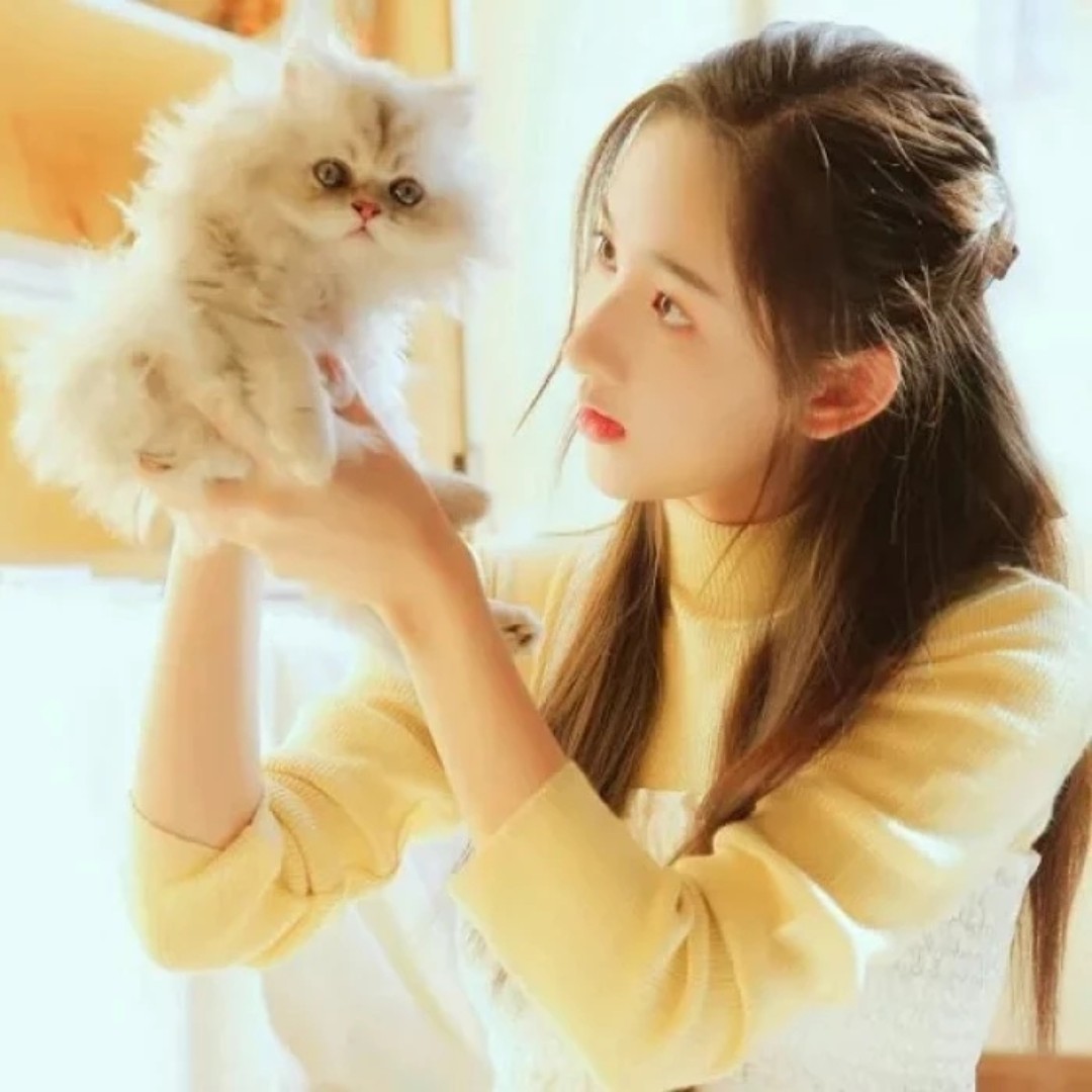 东北婆婆丁OuO=_=