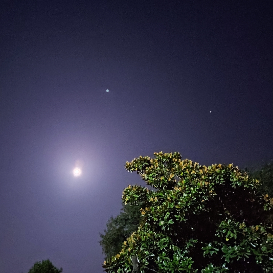 莫名其妙的哈吉斯